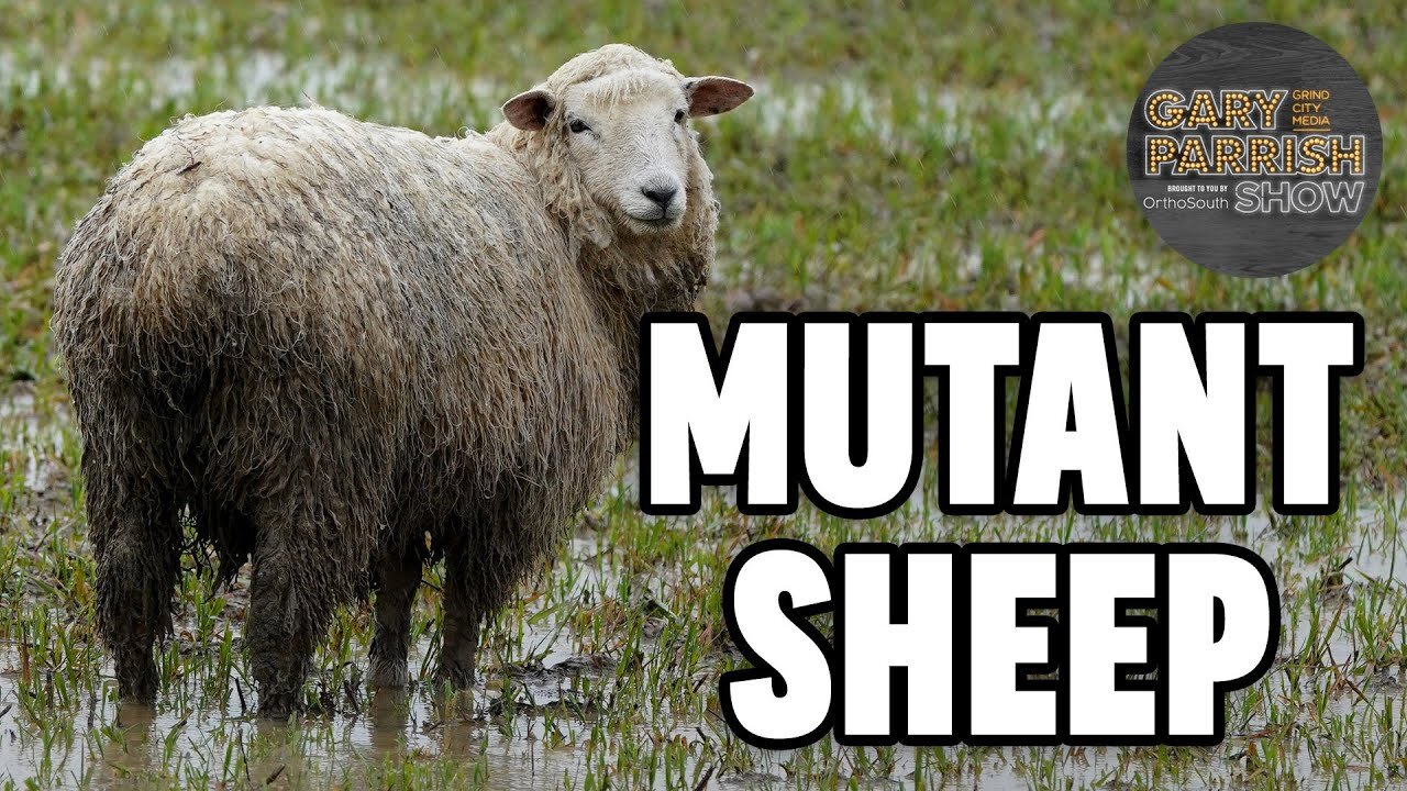 The WILD Story of a Montana Man Illegally Breeding Sheep | Gary Parrish Show