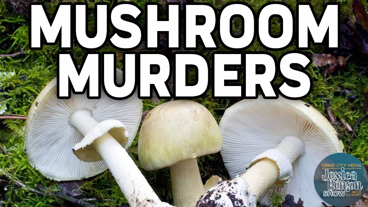 Mushroom Murders: Explaining the WILD STORY | Jessica Benson Show